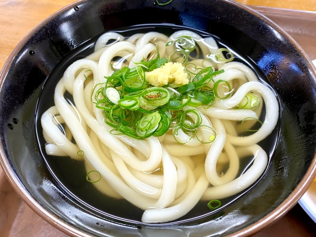 うどん　モーツァルト