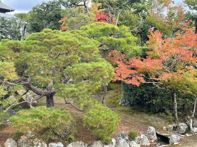 仁和寺
