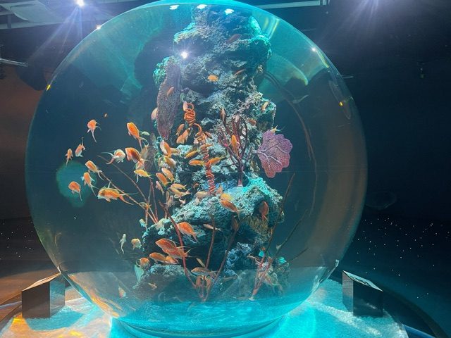 水族館