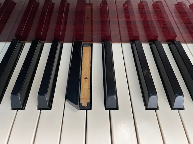 鍵盤